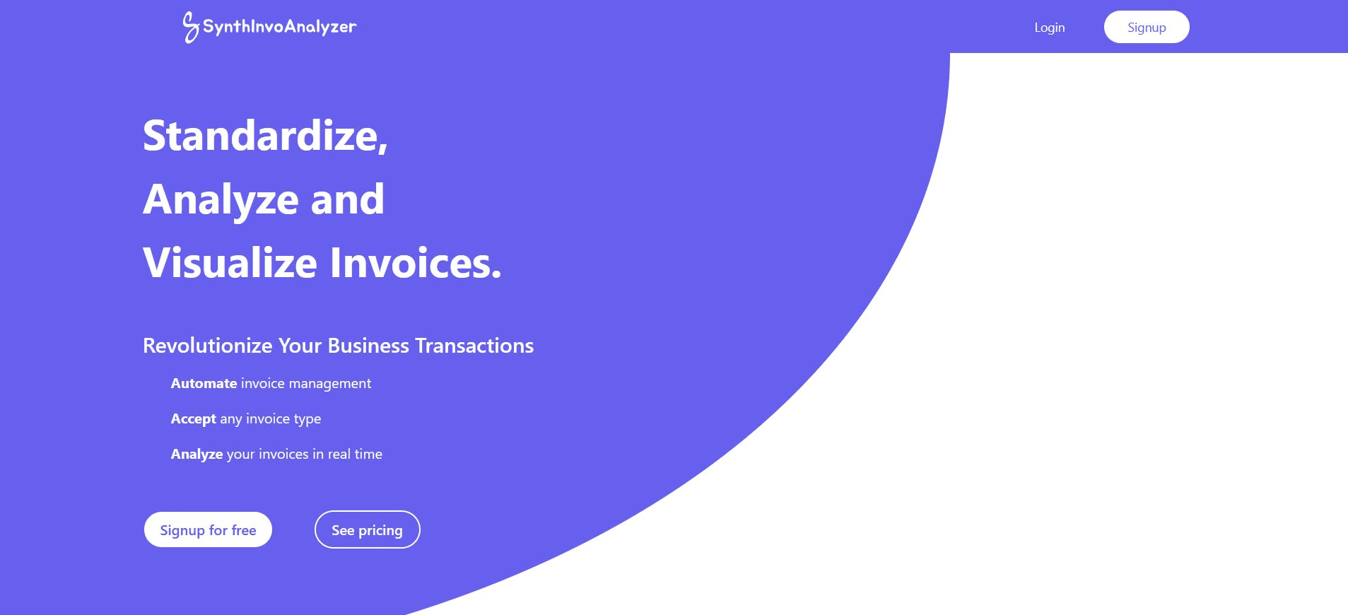 SynthInvoAnalyzer - B2B Invoice Intelligence Platform